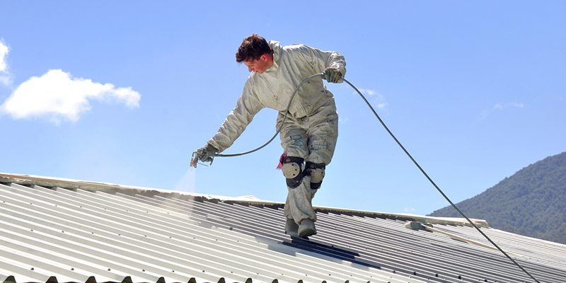 Painter in Cary, North Carolina